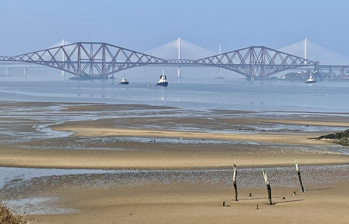 Malcolm colquhoun tweet media