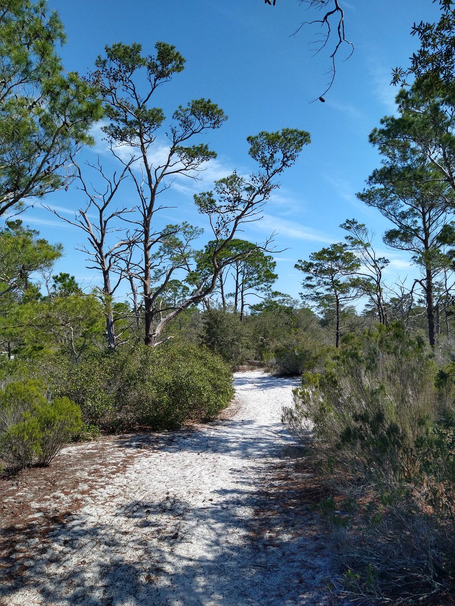 Let's wander into the unknown
#photography #hikingadventures