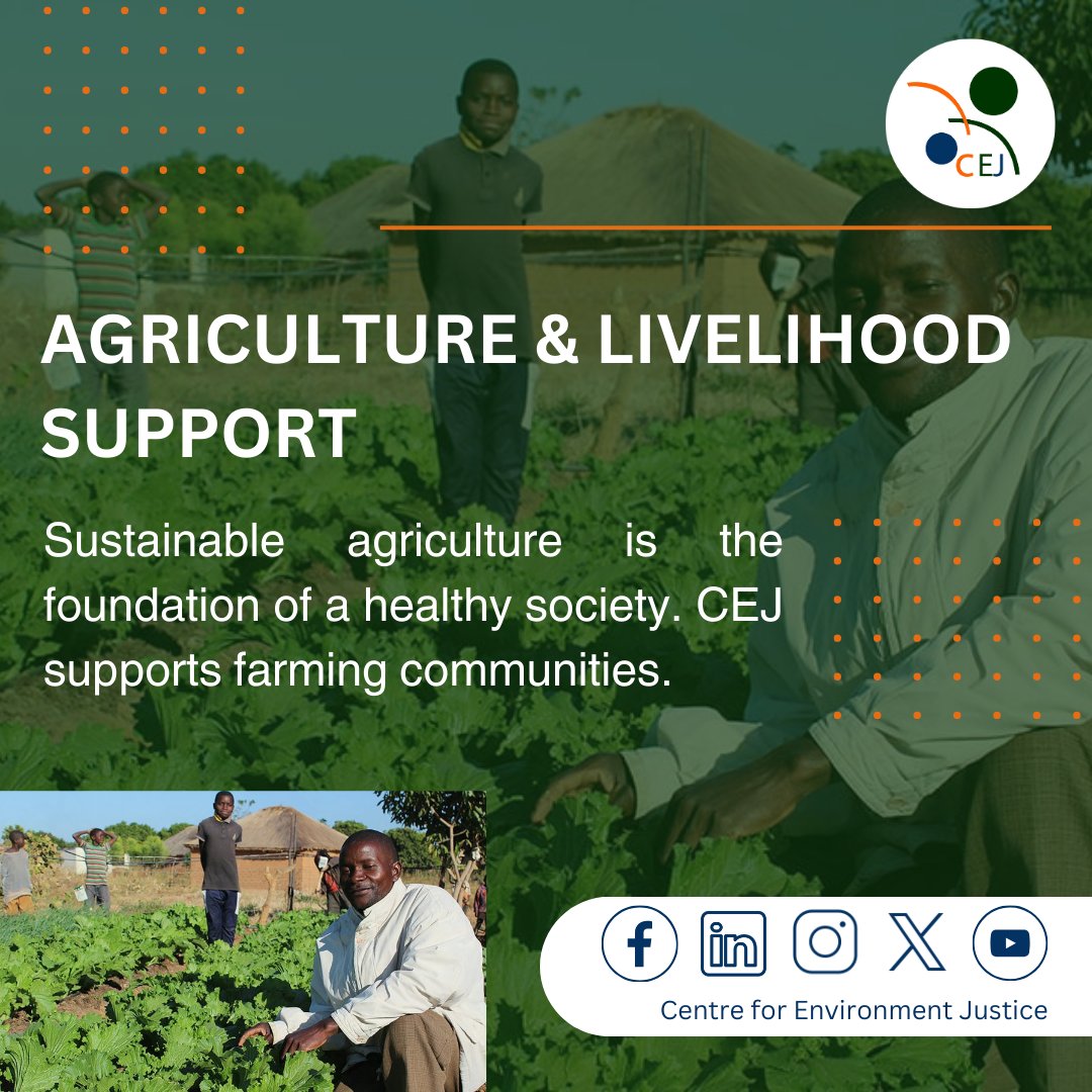 [CEJ Agriculture & Livelihood Support Thematic]
#Agriculture
#LivelihoodSupport
#SustainableAgriculture
#FarmingCommunities