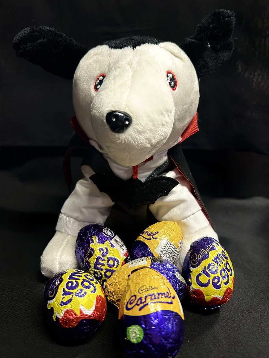 Happy 200th birthday @cadburyuk 🥳 xoxo, Nipper #cadburys #cadburychocolate #cremeegg #hmv #hmvoxfordstreetlondon