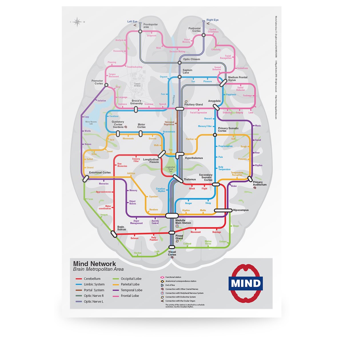 OGdukeneurosurg's tweet photo. Brain Metropolitan Network Map in case you get lost along the way. https://t.co/xw4QNNSVKA