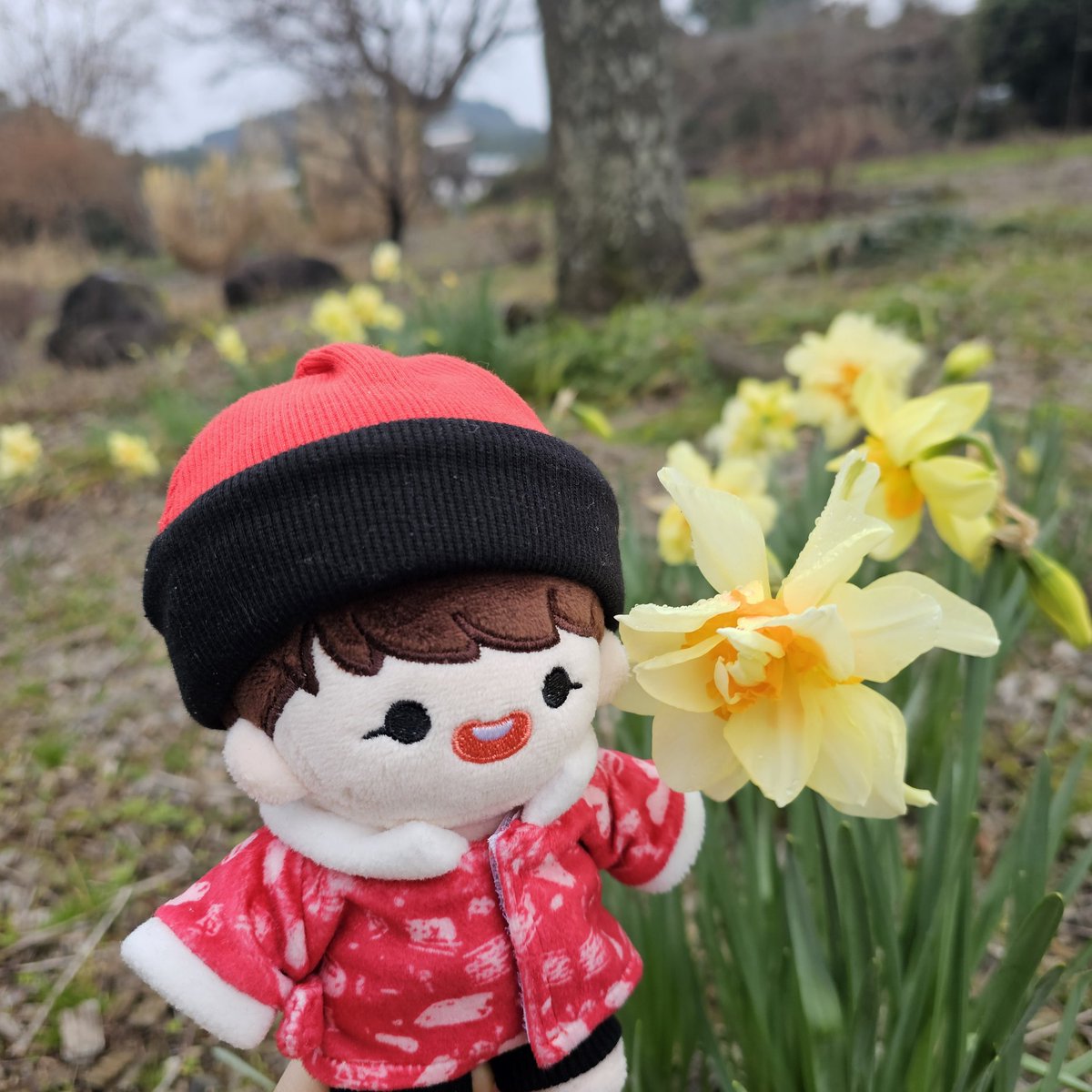❤️아가준쮸🖤와 함께하는 제주여행🏝