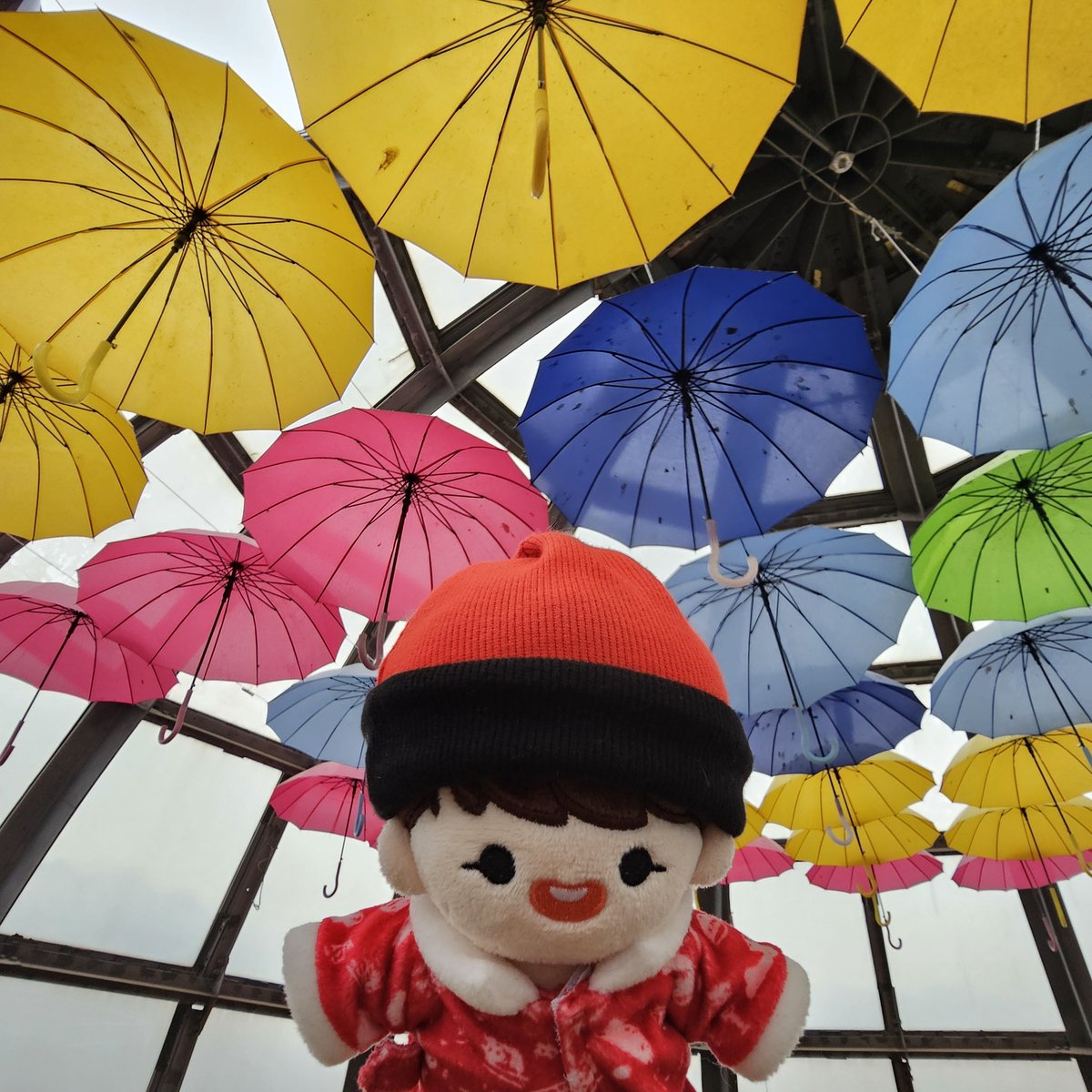 ❤️아가준쮸🖤와 함께하는 제주여행🏝