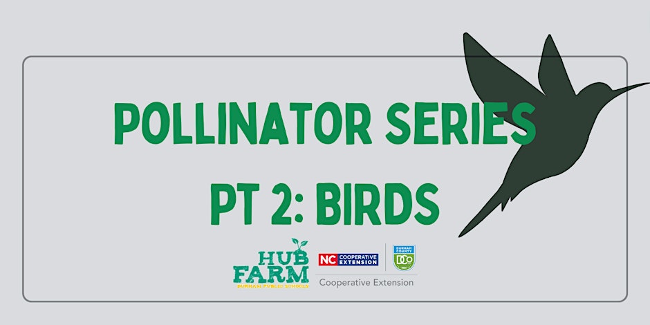 Come join us at the Hub Farm to learn all about birds and build your own bird house! The New Hope Audubon will be teaching this exciting workshop and all supplies are included in the cost. For more info visit: zurl.co/gbCz