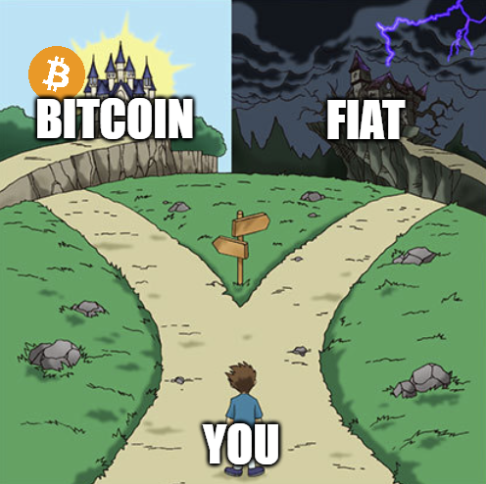 growscoin's tweet photo. Soon there will be an extremely clear choice presented to everyone. Remain a slave to the debt burdened ponzinomics of the fiat system. OR become a Bitcoiner.
Choose wisely.
#Bitcoin #foolishone #AllTimeHigh #investing #fiat #money https://t.co/jDG5SW48O7