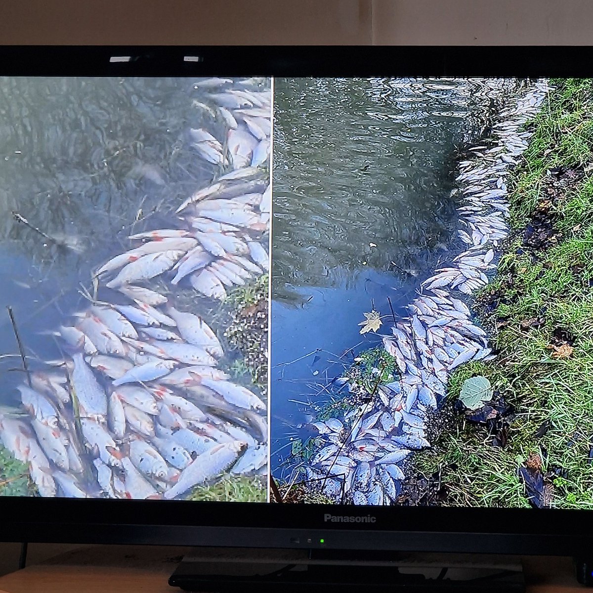 Hello, @paulbristow79. Any news on the cause of the 100,000 dead fish on the River Nene? As Peterborough MP, and the fact that you voted twice in favour of water company's policy of pumping raw sewage into our waterways, I was wondering what your view was. 🤔 #TorySewageParty