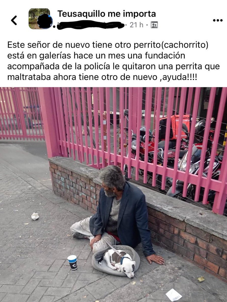 Andrea Padilla Villarraga 🪽🐾 tweet media