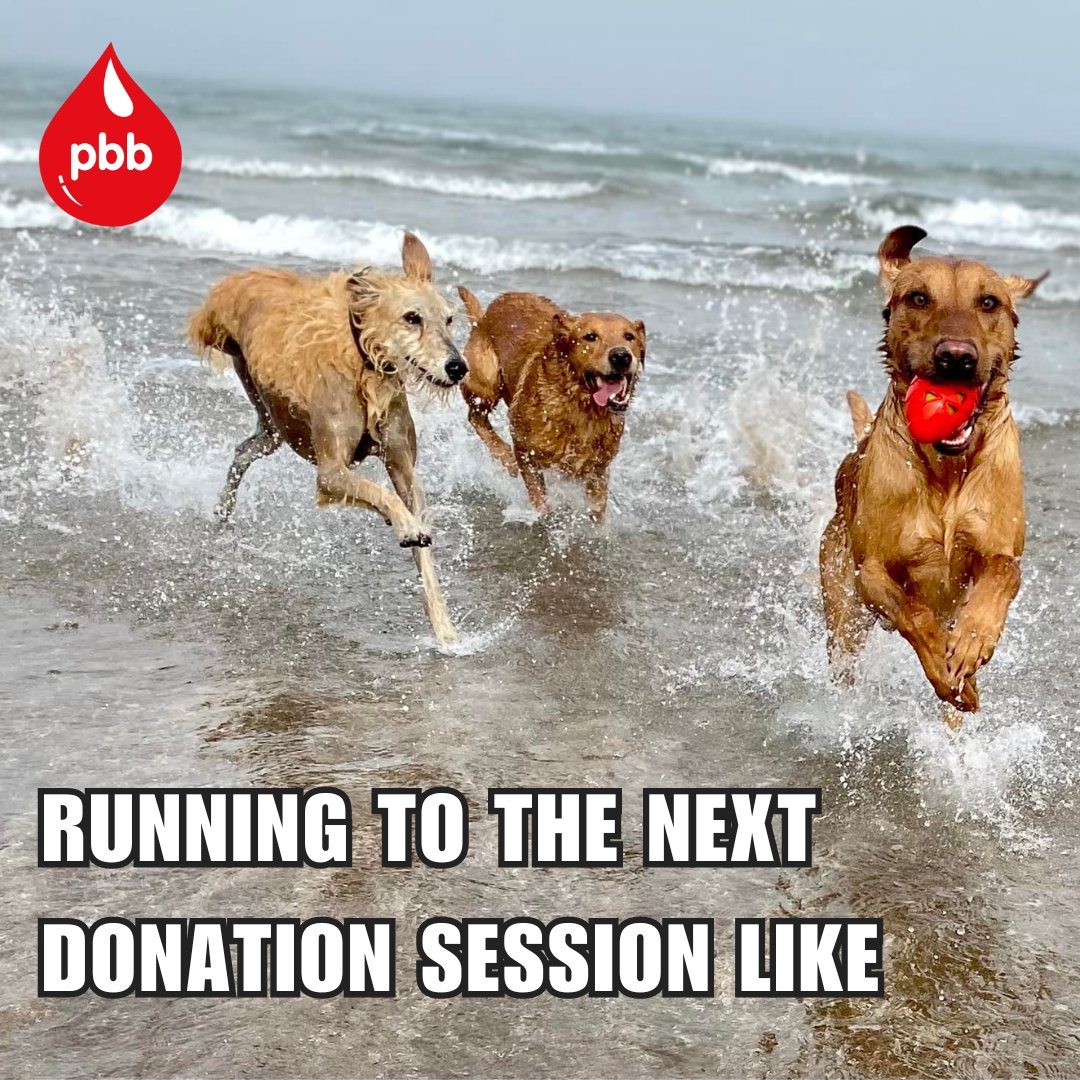 Who else? 🙌🐾🐾#pbblifesavers