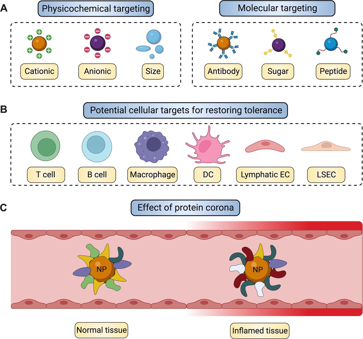 Check out our latest in Advanced Drug Delivery Reviews @ADDReditors led by @MJMitchell_Lab PhD student @ASThatte2 on emerging strategies for nanomedicine in autoimmunity! Great collaboration with @MagBillingsley @JilianMelamed @WeissmanLab Free access: sciencedirect.com/science/articl…