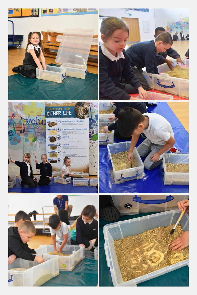 Our Year 1's have been having a roarsome time #diggingfordinos today with @educationgroup The children have been learning when different dinosaurs lived, where they came from, what they ate and much more! #CHSRocks