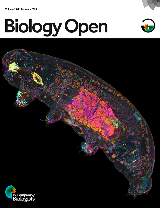 Our February issue is now complete and available at journals.biologists.com/bio/issue/13/2, including an Editorial from EiC Dan Gorelick, lots of research content, reviews and a new methods & techniques paper. All of our content is #openaccess - free to read and share for everyone.