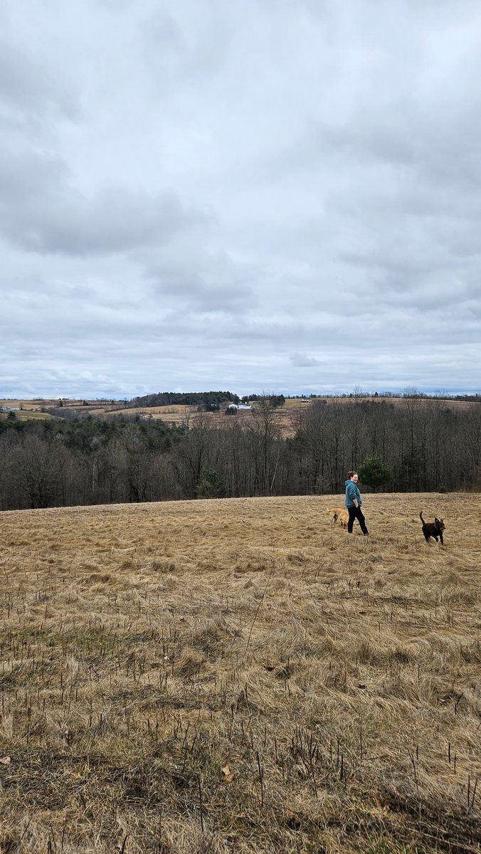 Katie Baker tweet media