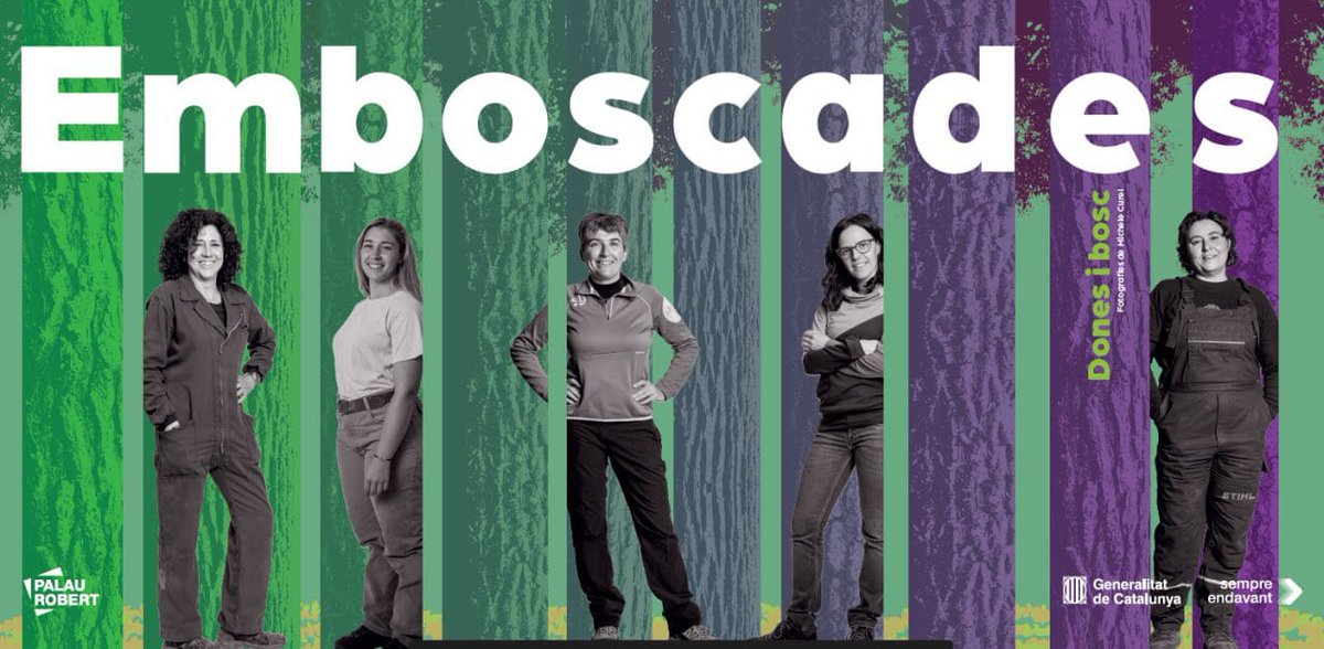 CREAF_ecologia's tweet photo. Avui hem assistit a la inauguració d'‘#Emboscades. Dones i bosc’ al @palaurobert 🌳✨Una expo del dia a dia de 18 dones que treballen al voltant del bosc 🌿Felicitats a tota l'organització; estem molt orgulloses de què la Mireia Banqué sigui una de les participants 💚 https://t.co/1CMBRlrJQt