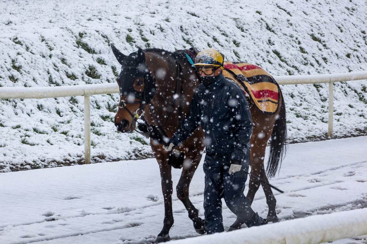 Mother Nature 👸. She gives and she also takes. “Rogue Millennium” walking through the latest turn in Irish weather after her gallop….. 🍀🍀🍀🍀@JosephOBrien2 @barrylacy1 @TedDurcan @drlanigan @KerryCauthen