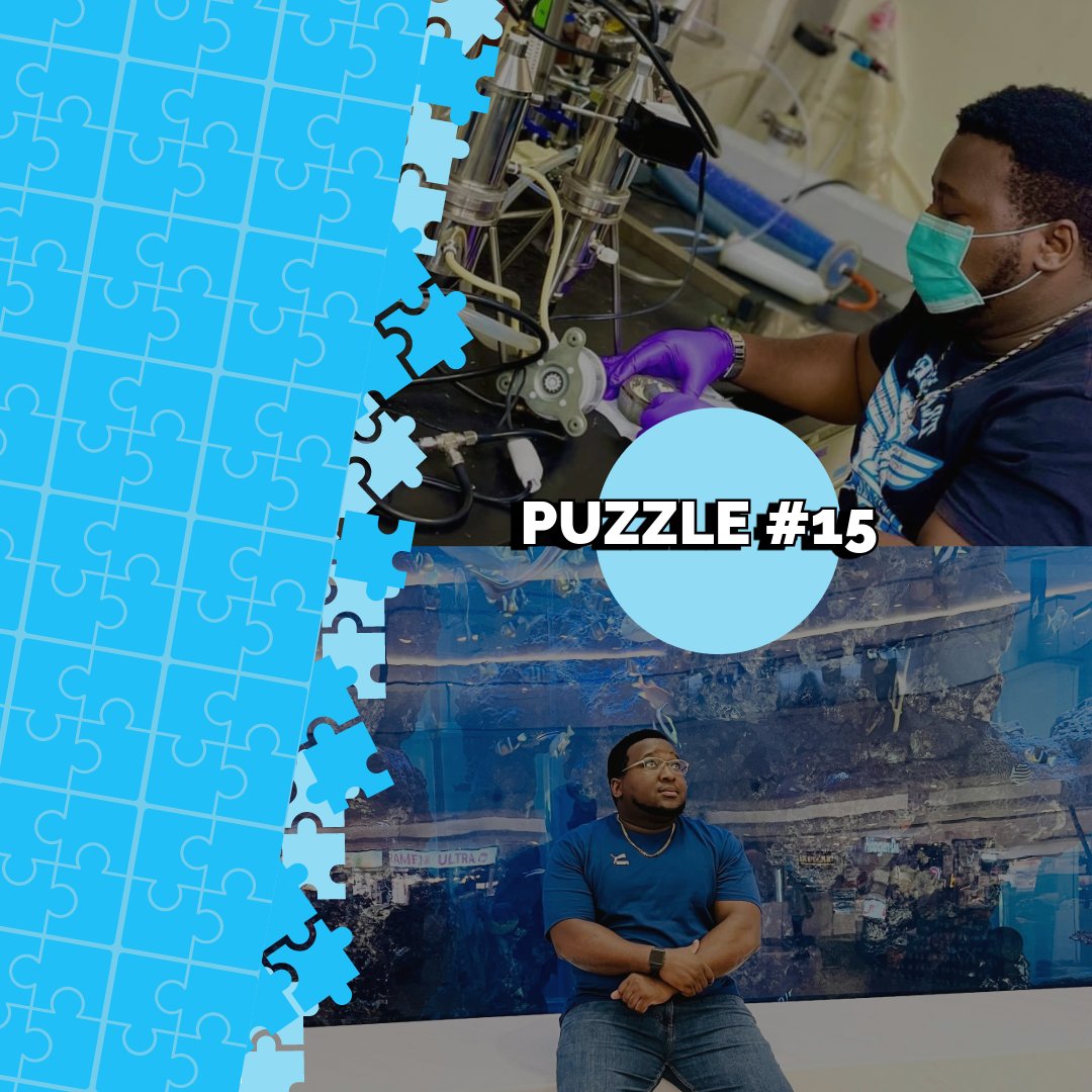 🧩Have you checked out Puzzle #15?🧩 Go play Puzzle #15 of the Conference Countdown Challenge! This puzzle showcases a submission by Wonder from National Yang Ming Chiao Tung University. 🌟🔬🦠 @isiaq indoorair2024.org/play-game/