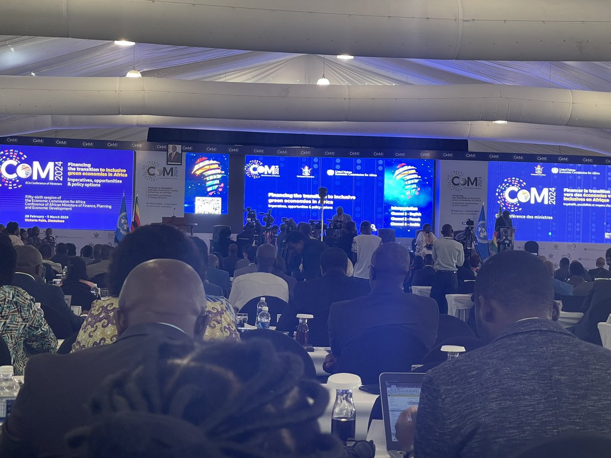 Stephen Chacha tweet media