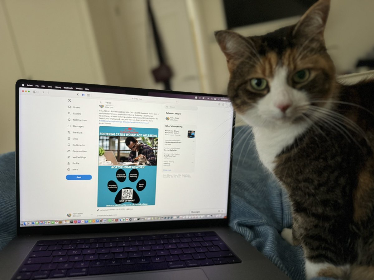 Helen Dixon (@dixouon) on Twitter photo Tiggy, Team Yellow’s advisor, is celebrating winning #B329LeadershipChallenge with Fostering Cats & Workplace Wellbeing <a href="/Cats/">Cats</a> <a href="/OpenUniversity/">The Open University</a> <a href="/B329Leadership/">B329 Leadership</a> <a href="/catsofinstagram/">Cats of Instagram</a> <a href="/CatWorkers/">cats with jobs 🛠</a> #winner <a href="/TweetsOfCats/">Tweets Of Cats</a> #OUB329 Tiggy, Team Yellow’s advisor, is celebrating winning #B329LeadershipChallenge with Fostering Cats & Workplace Wellbeing <a href="/Cats/">Cats</a> <a href="/OpenUniversity/">The Open University</a> <a href="/B329Leadership/">B329 Leadership</a> <a href="/catsofinstagram/">Cats of Instagram</a> <a href="/CatWorkers/">cats with jobs 🛠</a> #winner <a href="/TweetsOfCats/">Tweets Of Cats</a> #OUB329