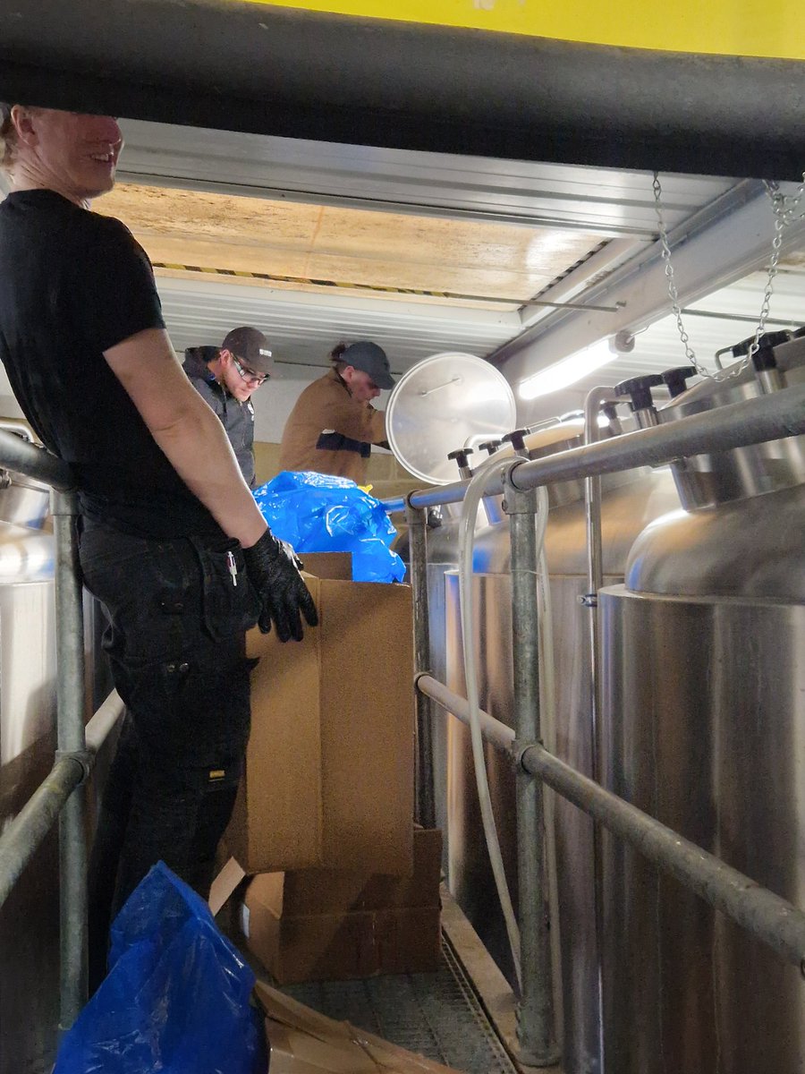 Hayley Pearce (@sirencbhayley) on Twitter photo Our Head of Sales <a href="/SirenCraftBrew/">Siren Craft Brew</a> loves to sell our fruit beers (fair enough, they are delicious) so we invited him over to add some fruit with us (on one of our heaviest fruit days π) think he has a new found respect for fruit beers π Our Head of Sales <a href="/SirenCraftBrew/">Siren Craft Brew</a> loves to sell our fruit beers (fair enough, they are delicious) so we invited him over to add some fruit with us (on one of our heaviest fruit days π) think he has a new found respect for fruit beers π