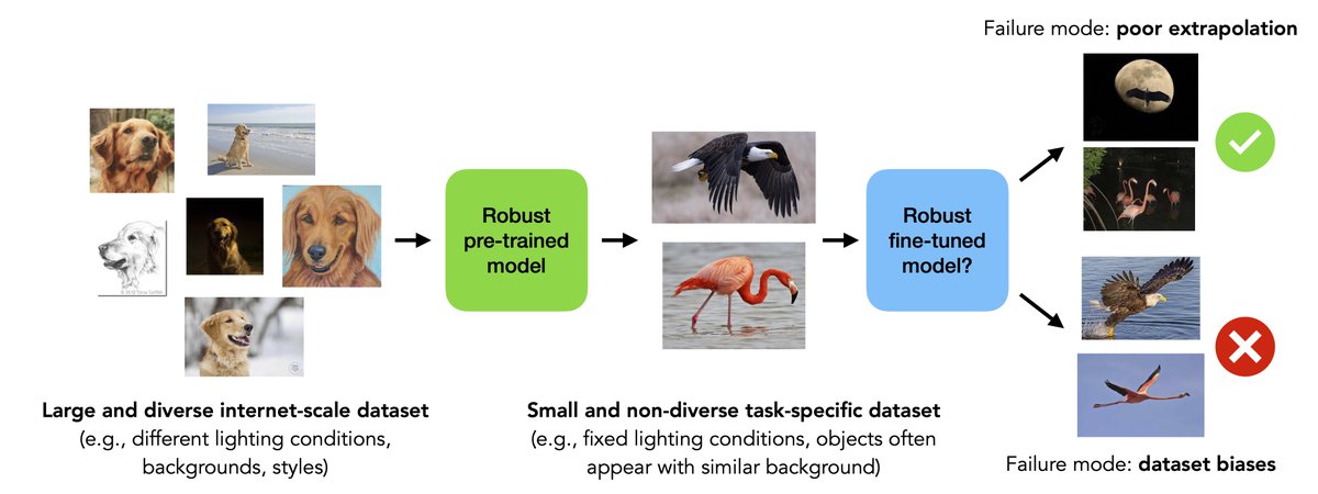 Models often fail under distribution shifts—can pre-training on a large and diverse dataset and then fine-tuning on a task-specific dataset help? W/ @bcohenwang, @josh_vendrow we show that this depends on the specific failure mode. In particular, pre-training can help with