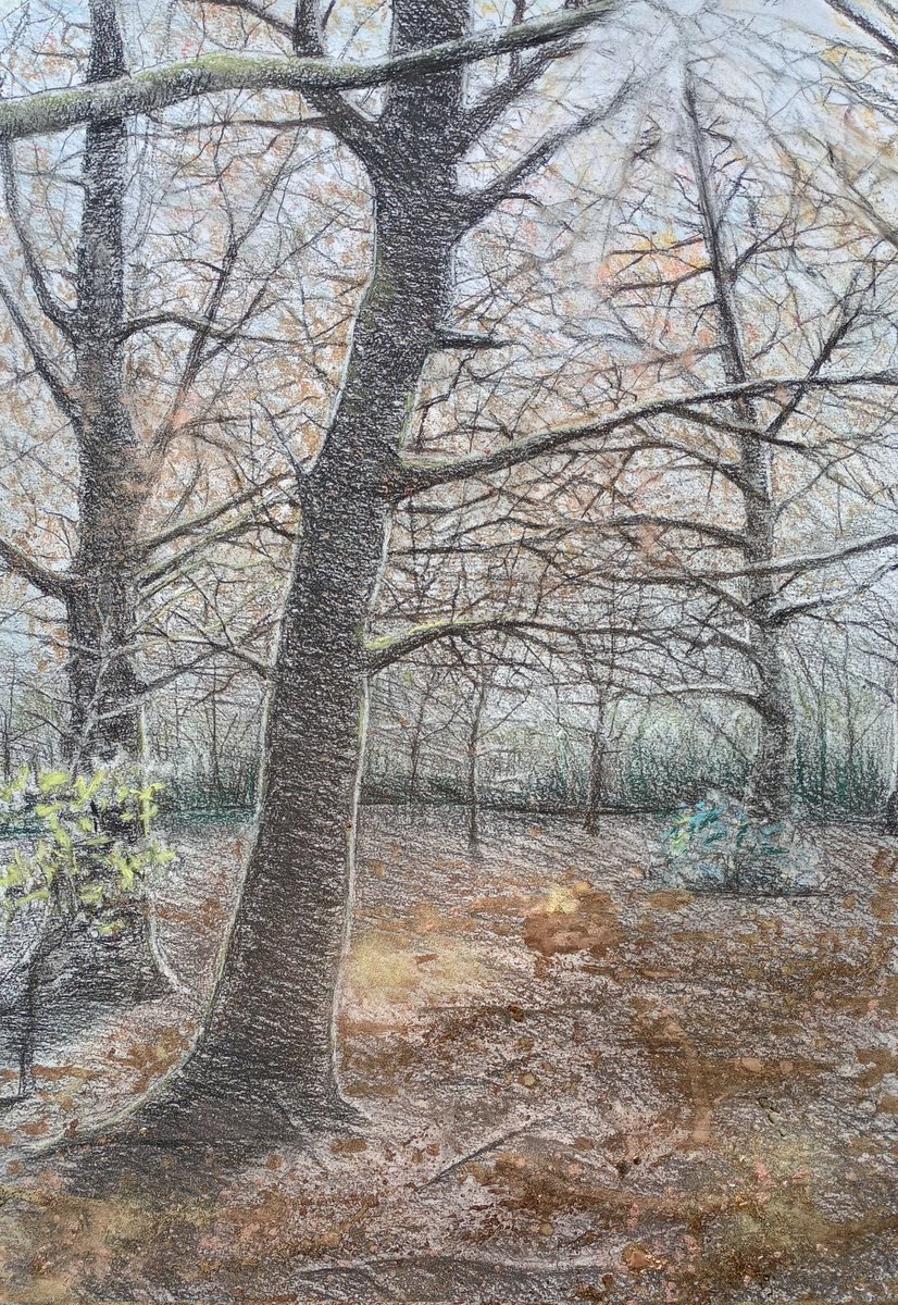 Jessica Rose tweet media