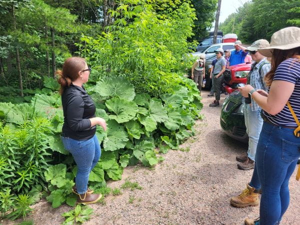 #conservationatwork Michigan State awards $3.6 million for invasive species projects.  #badinvasives

Read more: michigan.gov/invasives/news…