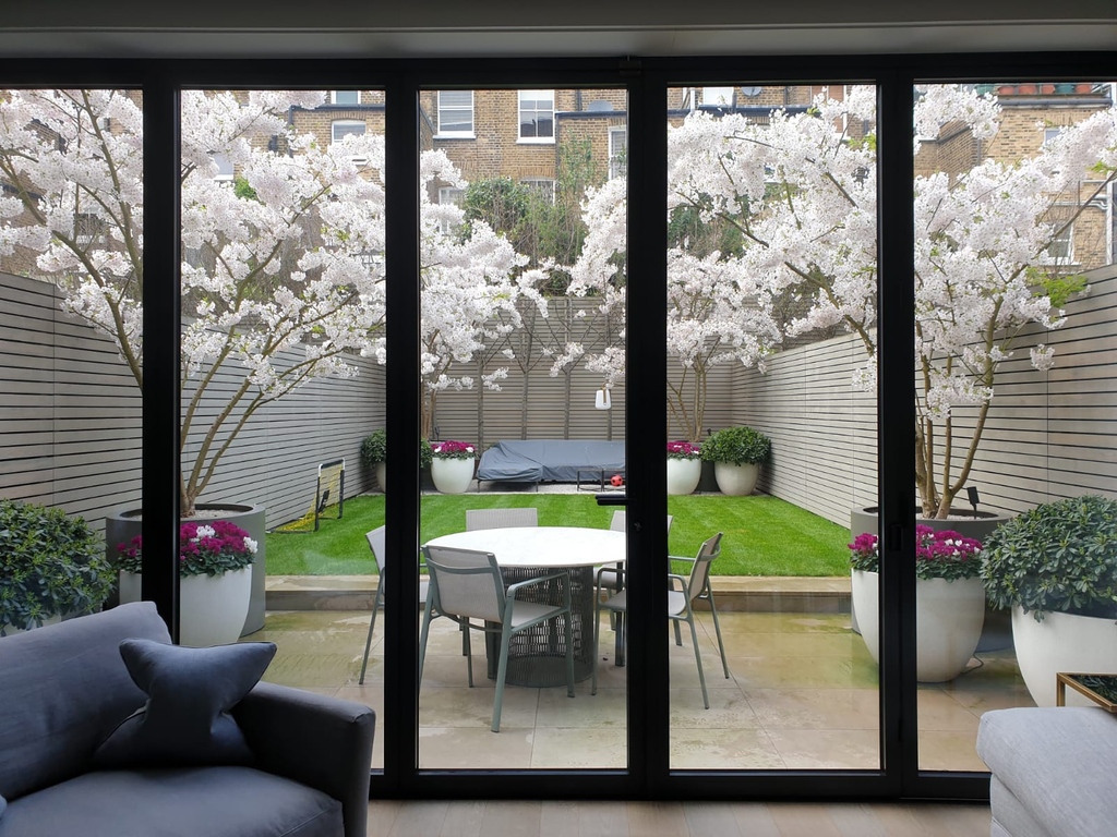 Small gardens are a canvas for design ingenuity. Elevate your outdoor space with impactful plant choices that ensure year-round visual interest. 

#multistemtrees #londongardendesign #urbangardens #springisonitsway #alasteranderson #theplantingexperts #pots