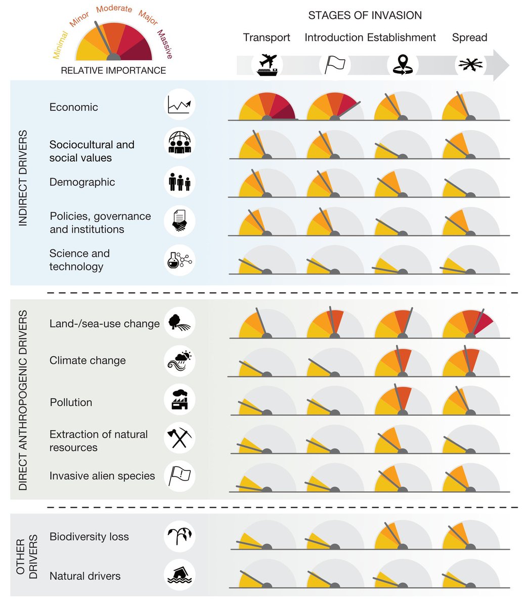 UNBiodiversity's tweet image. 🌍 Ever wondered what drives biological invasions?‌
💡 From climate change🔥and pollution 🏭 to biodiversity loss📉 this infographic from the new @IPBES #InvasiveAlienSpecies Report unravels many of the factors driving these challenges 🤔
Via @IPBES