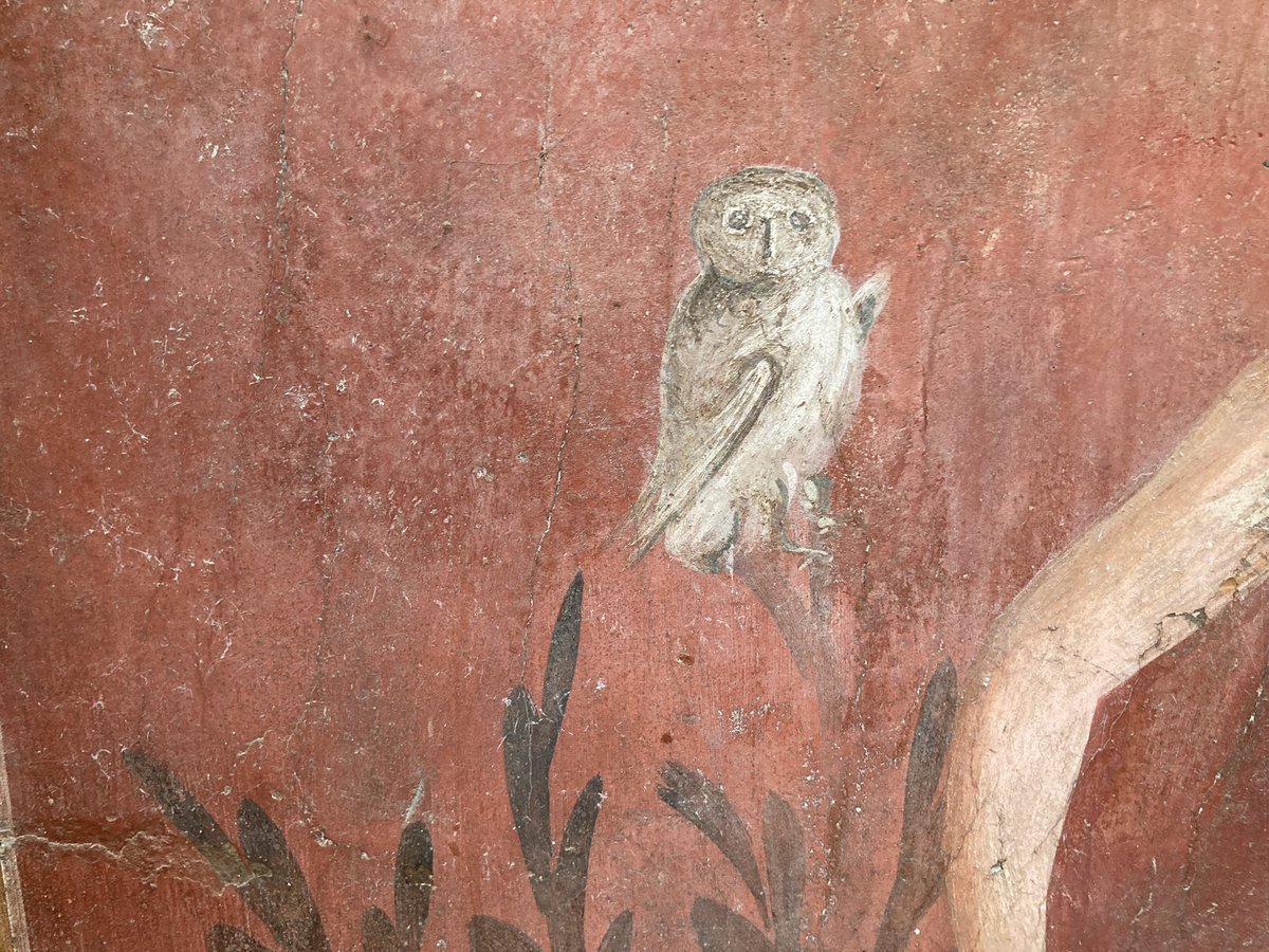 A small selection of the birds of Pompeii and Herculaneum. The thing is, my artist friends, work in fresco - your work will survive all that a volcano can throw at it and 2000 years later still look gorgeous and fresh.