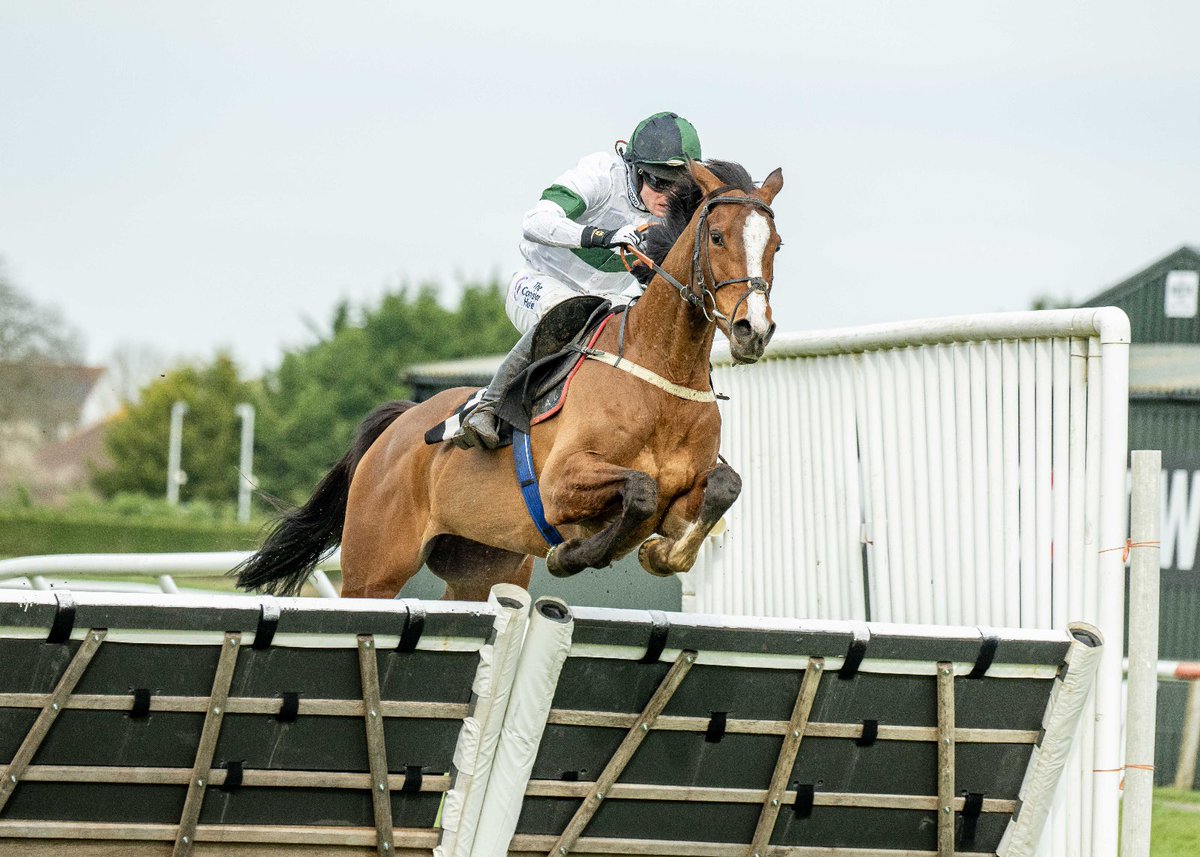 Plumpton Racecourse (@plumptonraces) on Twitter photo Our first race, The Crystal Services Mares’ Novices’ Hurdle has been won by Looking As You Are and Harry Bannister for <a href="/AlexHalesRacing/">Alex Hales</a> and Grumbrills Racing Partnership Our first race, The Crystal Services Mares’ Novices’ Hurdle has been won by Looking As You Are and Harry Bannister for <a href="/AlexHalesRacing/">Alex Hales</a> and Grumbrills Racing Partnership
