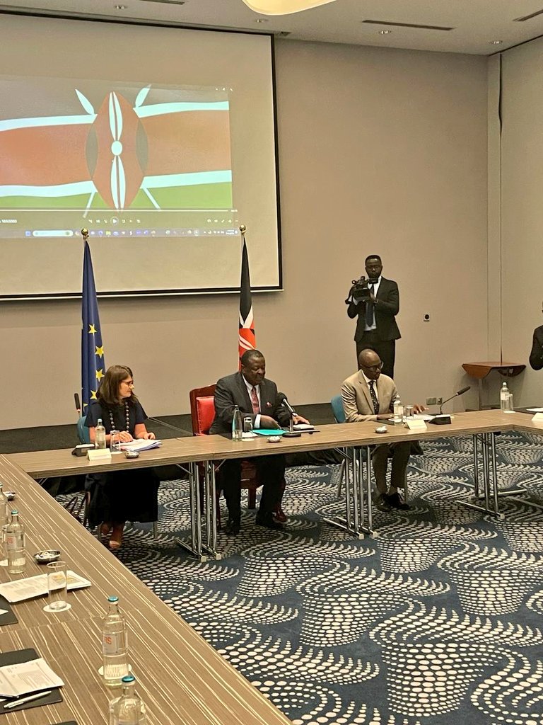 Today the EU-Kenya Strategic Dialogue and Partnership is moving forward. We want to jointly build a more inclusive sustainable economy, combating #climatechange and working towards peace and security. @MusaliaMudavadi @ForeignOfficeKE #TeamEurope