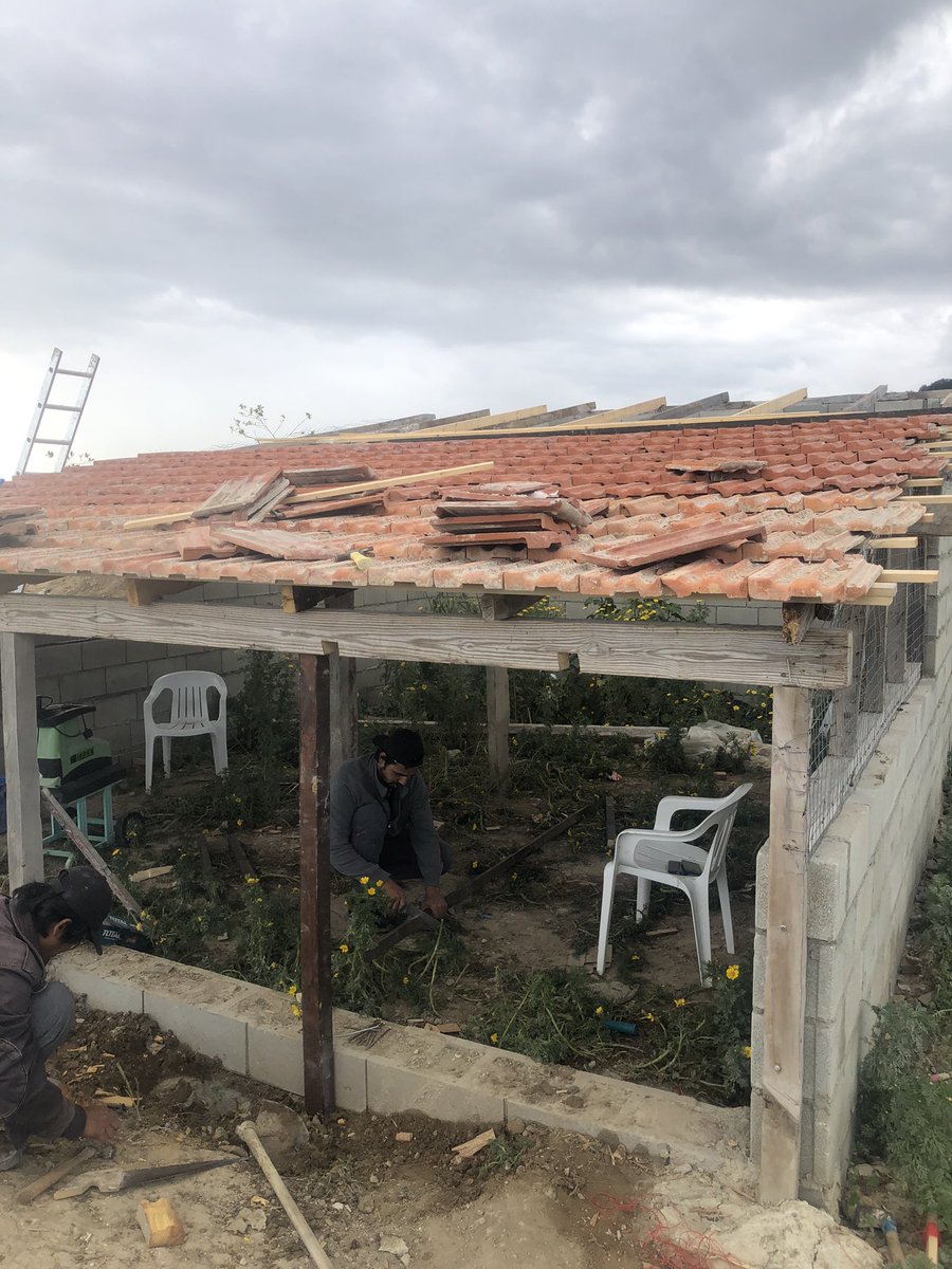 Our Chickenhouse is about to be finished :)

#permaculture #gardening #nature #organic #garden #growyourownfood #potager #organicgardening #growyourown #permacultura #regenerativeagriculture #sustainableliving #jardin #foodforest #sustainability #homesteading #permaculturegarden…