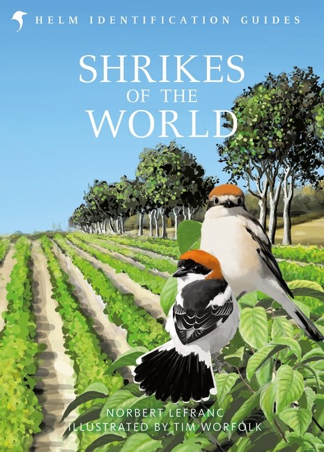 Bloomsbury_News's tweet image. Congratulations to Norbert Lefranc and @TimWorfolk on winning @_BTO Best Bird Book of the Year 2023 for Shrikes of the World!

This is @chiffchat's 3rd win of 'the Booker Prize of the ornithology world' in 6 years 🪶

Read more: bto.org/understanding-…