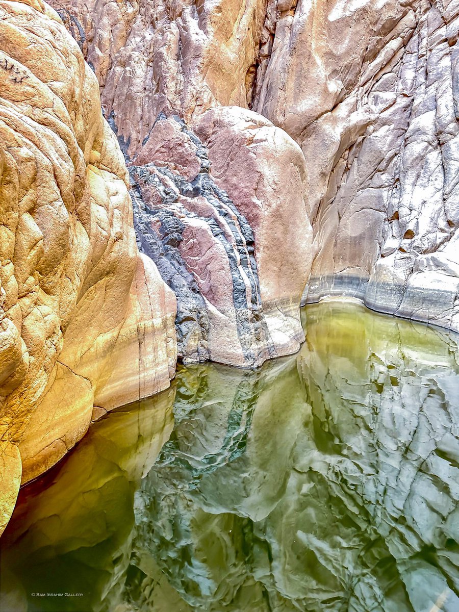 Sam Ibrahim tweet media