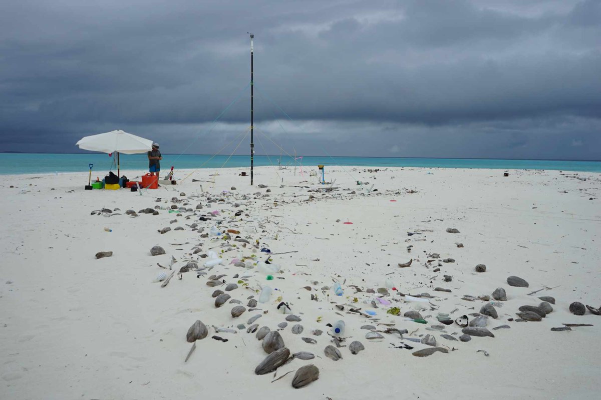 Teresa Konlechner (@tkonlechner) on Twitter photo Wrapping up 2 weeks of fieldwork investigating reef island dynamics in the Maldives. <a href="/GeographyOtago/">Otago Uni Geography</a> Wrapping up 2 weeks of fieldwork investigating reef island dynamics in the Maldives. <a href="/GeographyOtago/">Otago Uni Geography</a>
