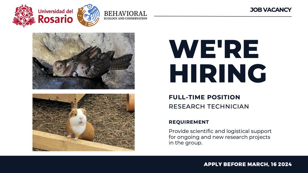 We're hiring! The Behavioral Ecology and Conservation Research Group at @fcn_ur is seeking a new research technician! If you're interested in behavior, birds and rodents, join our collaborative team! 🐦🐹 Apply now! tinyurl.com/AdResearchT #JobOpening #ResearchAssistant