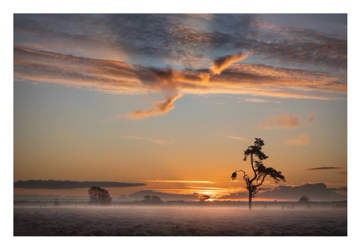 A beautiful start to the day out on the open plains of the Forest this morning. Loved those shadows of the clouds as the sun just peaked above the horizon! #NewForest