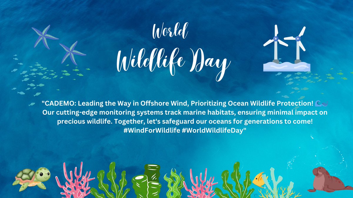 #scrippsoceanography #floatingoffshorewind #windforwildlife #WorldWildlifeDay2024