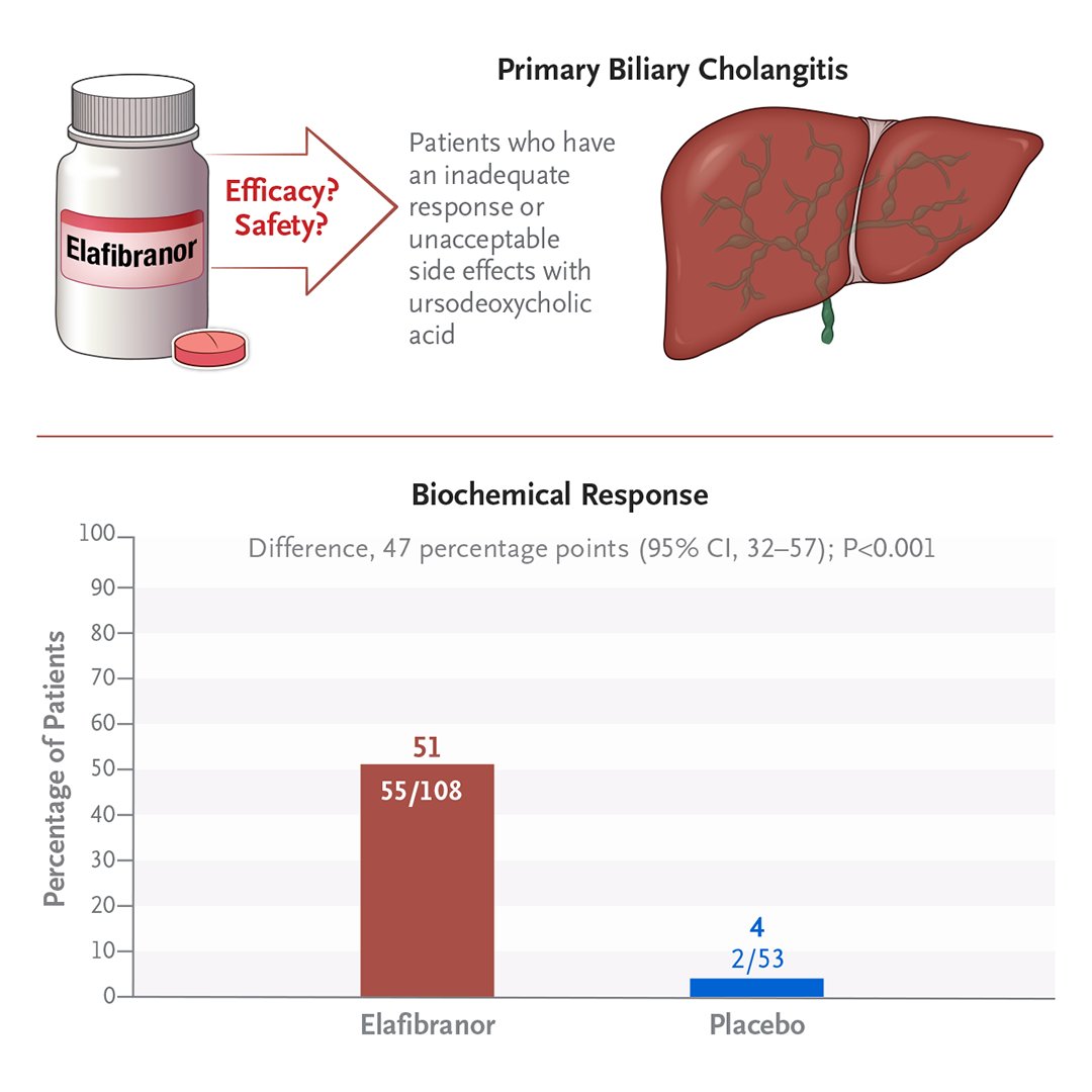 NEJM's tweet photo. In the ELATIVE trial involving patients with primary biliary cholangitis, treatment with elafibranor, a dual PPAR-α and PPAR-δ agonist, led to greater improvements in biochemical indicators of cholestasis than placebo. Full results and Research Summary: https://t.co/dtLMERK89k https://t.co/TCbLco7as9