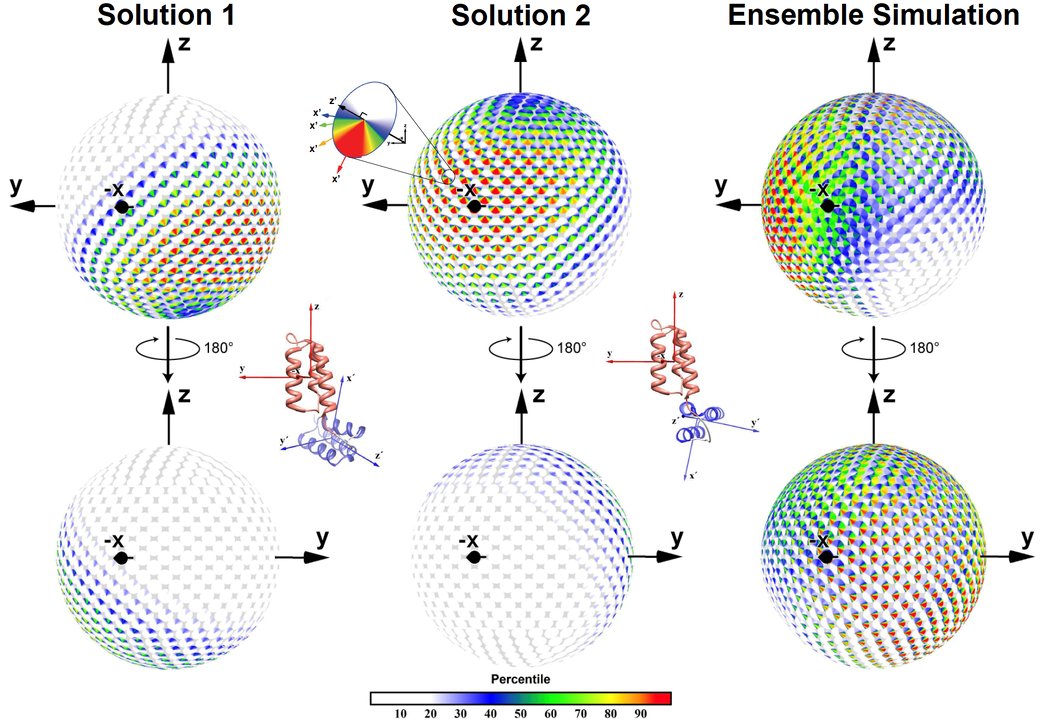 The next CASP SIG on Modeling Ensembles and Alternative Conformations of Proteins will be held via Zoom on Wednesday March 6, 2024 at 11:00 am EST. Zoom Link: us02web.zoom.us/j/81663975964?… #structuralbiology #proteins #nmrspectroscopy #cryoem #crystallography #casp