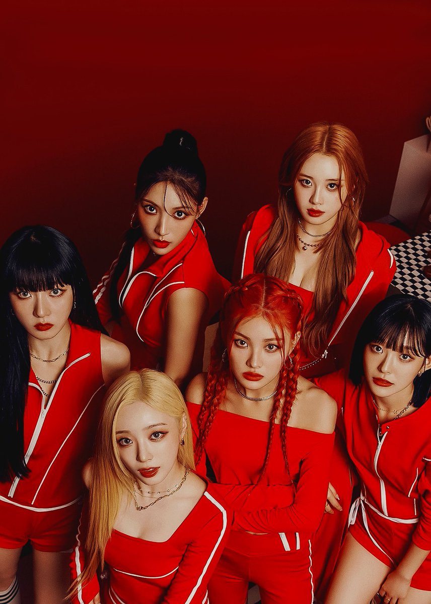 Lightsum Support Team tweet media