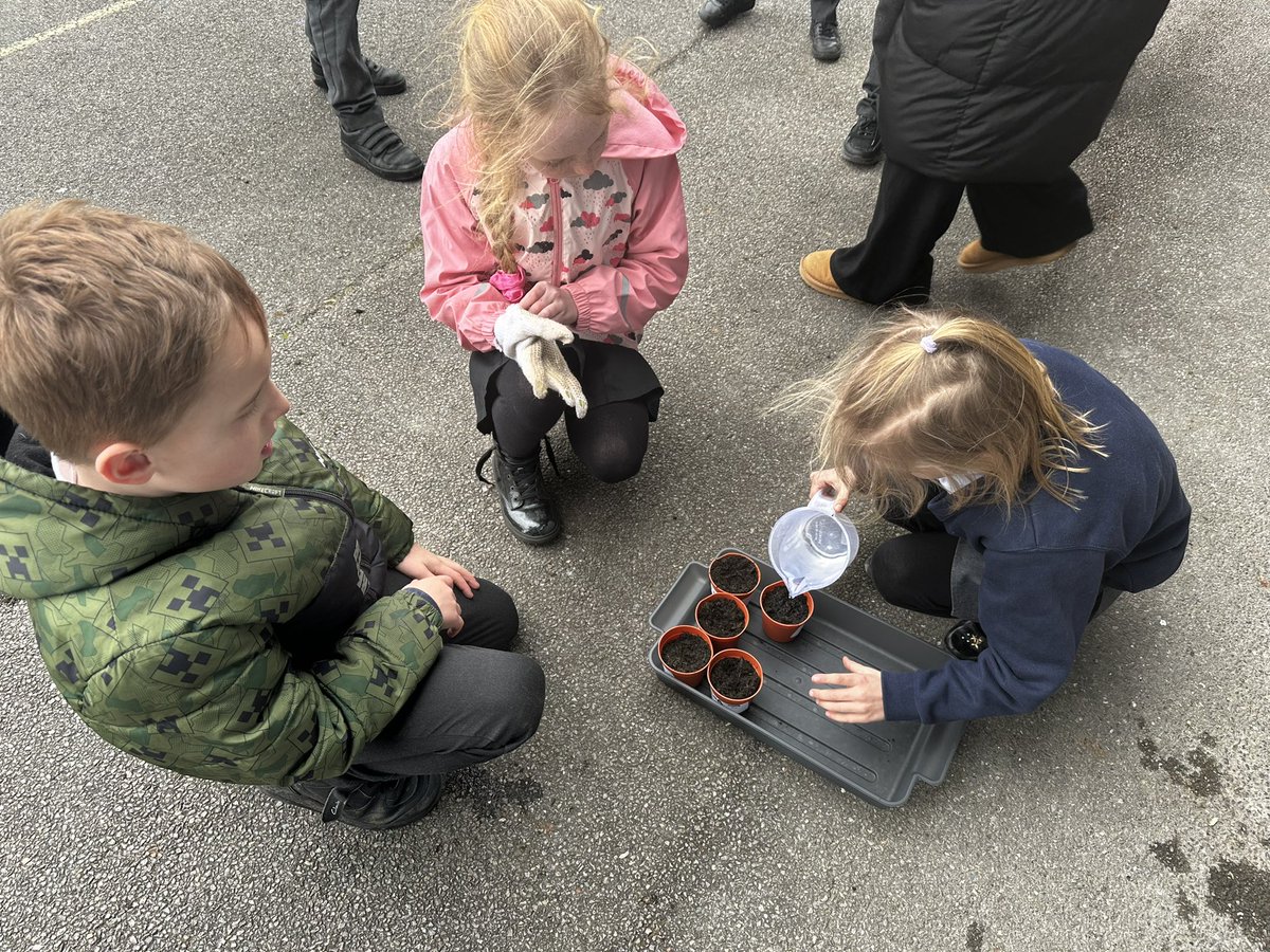 Rowde C of E Primary Academy tweet media