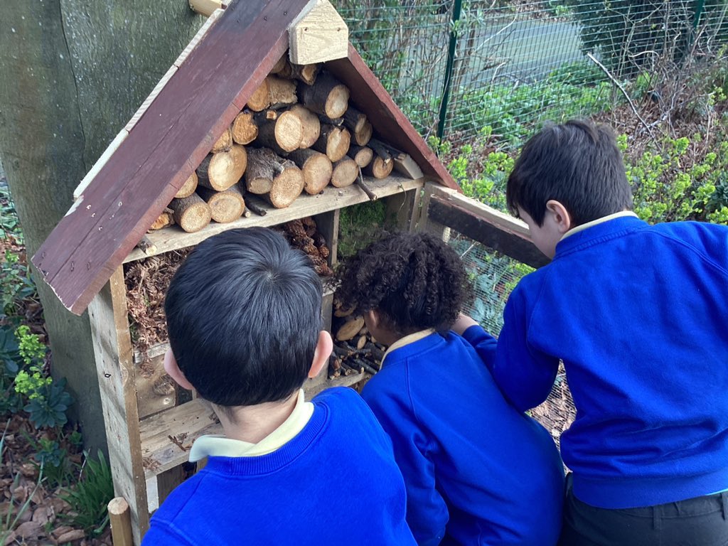 Year 2 have been completing their bug hotel, adding all the home comforts the local bugs need! It is now officially open for business! #CatholicLifeStCathrc. #science