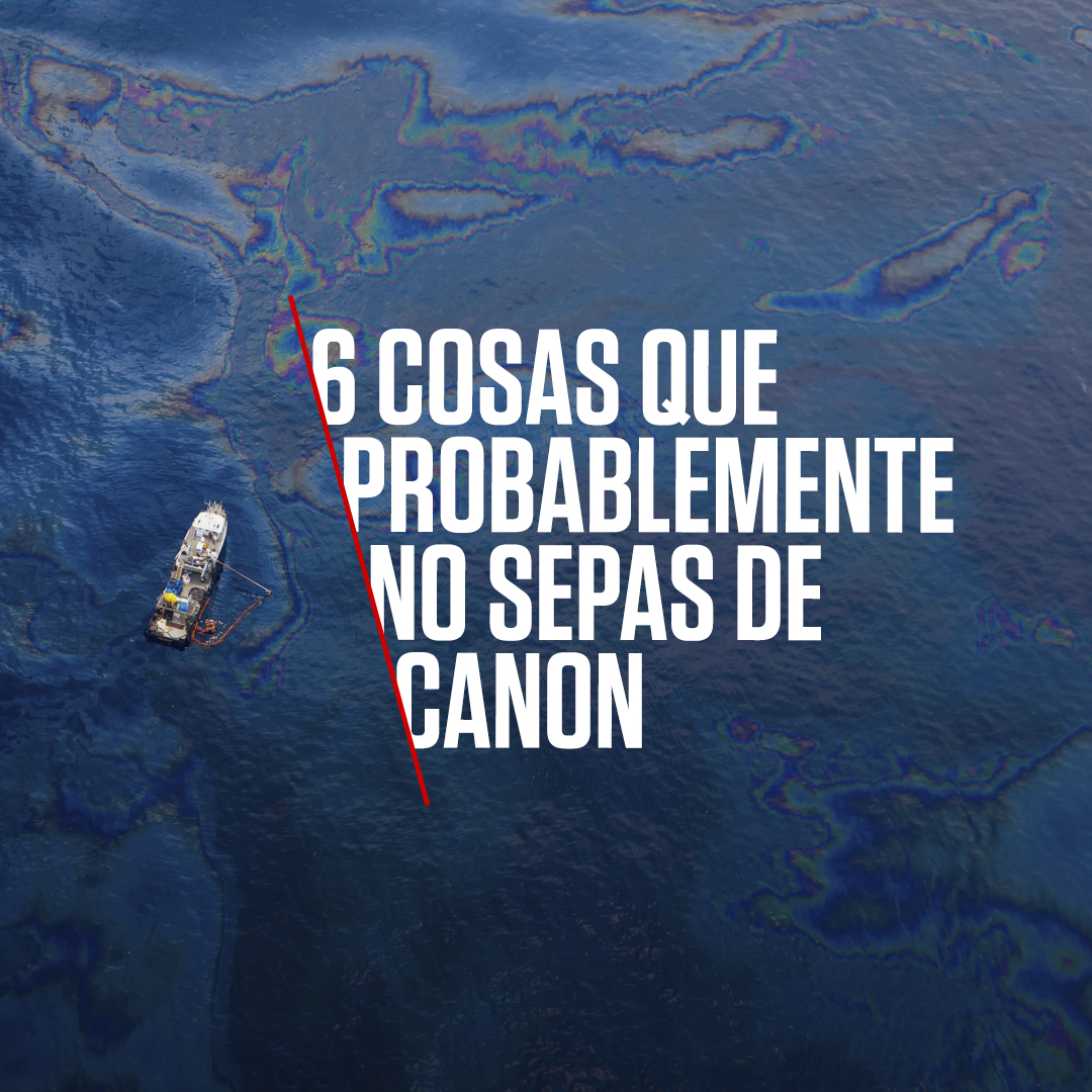 Canon son cámaras, impresoras y mucho más. Estamos presentes en todos los ámbitos de la vida, algunos quizá no los conozcas. Nuestra tecnología está presente en tu vida diaria, desde la primera ecografía hasta las estrellas en el cielo, estamos ahí: canon.sm/3HpVlTb