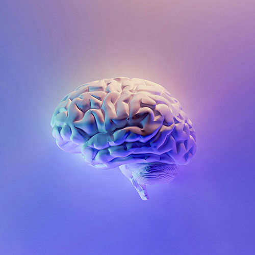 DarrenPearson's tweet image. Curiosity benefits our mental and physical health in several ways:

#curiosity #philomath #mentalhealth #brain