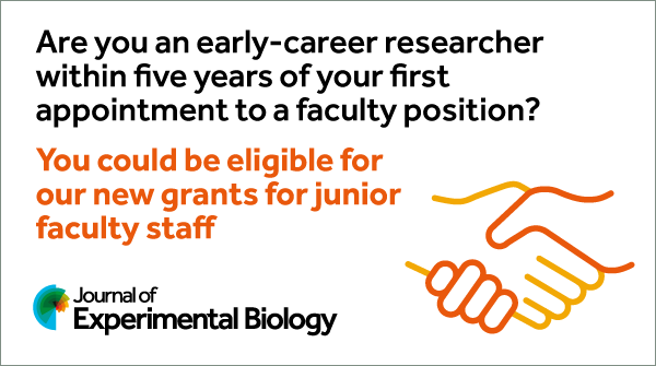 If you’re working in animal comparative physiology & biomechanics & are within 5 years of setting up your first lab, apply for our ECR Visiting Fellowships & Research Partnership Kickstart Travel Grants. Deadline 3 June bit.ly/4c1ys6I bit.ly/3uV6c4S