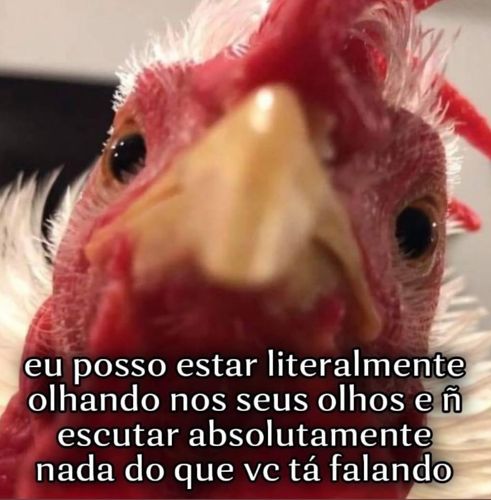 paginalixo1's tweet photo. https://t.co/X3GyK8enA9