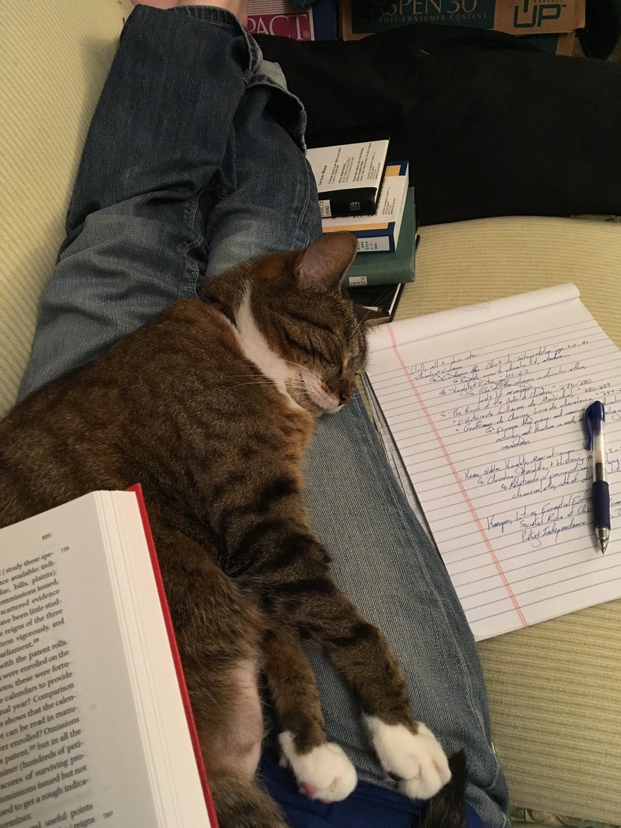 k_a_tuley's tweet photo. Recommend small, personal/research support providers. 

(May entail other complications, particularly international.)

#CatsOfAcademia #CatsofTwittter https://t.co/8IIhIr9XY0