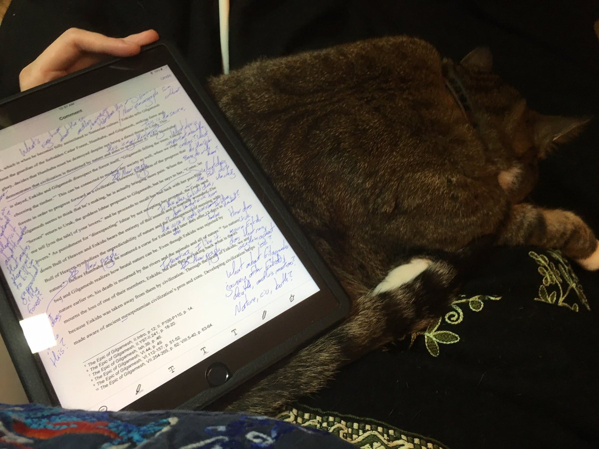 k_a_tuley's tweet photo. Recommend small, personal/research support providers. 

(May entail other complications, particularly international.)

#CatsOfAcademia #CatsofTwittter https://t.co/8IIhIr9XY0