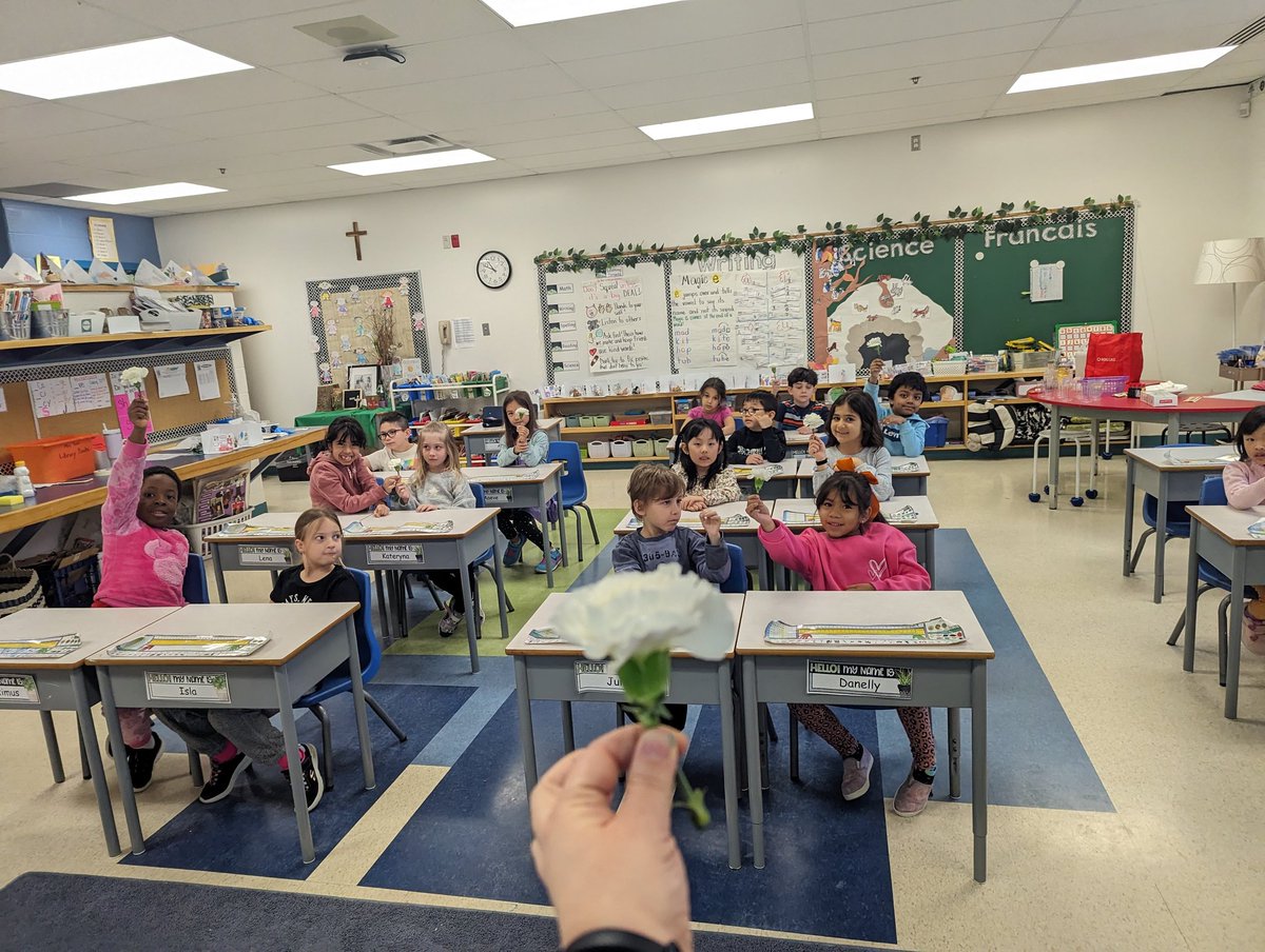 Grade ones <a href="/StEmilyOCSB/">St. Emily School</a> are off to an exciting #ocsbSTEAM week. We completed our first experiment on movement in science ! #ocsbscience each student worked with a partner to observe a flower. Then we asked what happens when food colouring is added to water. Now we wait!