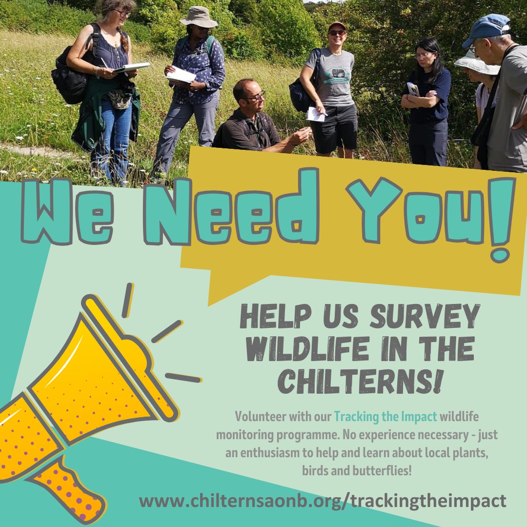 Passionate about wildlife and want to improve your ID skills? Recruitment is open for our #TrackingtheImpact surveys - there's volunteering opportunities for everyone! 👀chilternsaonb.org/trackingtheimp… Register: tinyurl.com/ttiform @ChilternsAONB @Chilternstreams @RiverChess @BBOWT